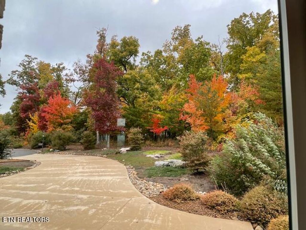 Photo of 61 Bluff View Court, Crossville, TN 38558 (MLS # 1311223)