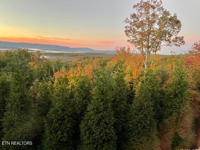 61 Bluff View Court