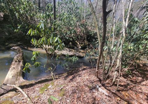 Tiny photo for Four Mile Creek Rd, Deer Lodge, TN 37726 (MLS # 1324762)