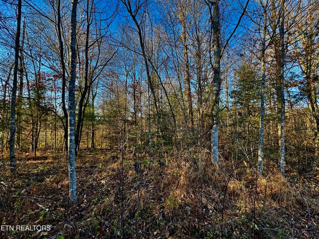 Photo of Four Mile Creek Rd, Deer Lodge, TN 37726 (MLS # 1324762)