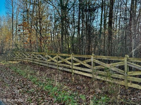 Tiny photo for Four Mile Creek Rd, Deer Lodge, TN 37726 (MLS # 1324762)