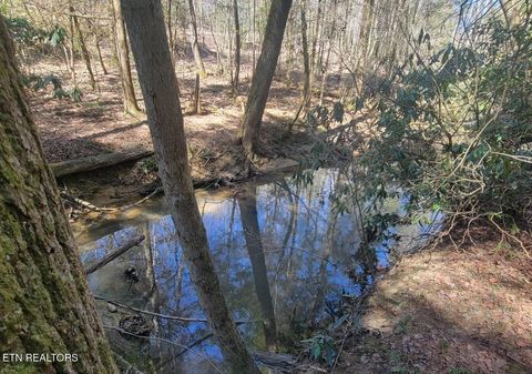 Tiny photo for Four Mile Creek Rd, Deer Lodge, TN 37726 (MLS # 1324762)