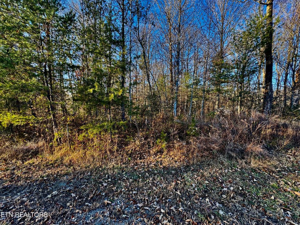 Photo of Four Mile Creek Rd, Deer Lodge, TN 37726 (MLS # 1324762)