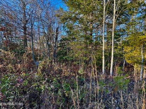 Tiny photo for Four Mile Creek Rd, Deer Lodge, TN 37726 (MLS # 1324762)