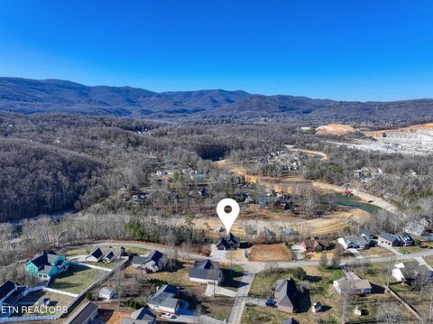 Tiny photo for 300 Bluff Trace Drive, Jacksboro, TN 37757 (MLS # 1326009)