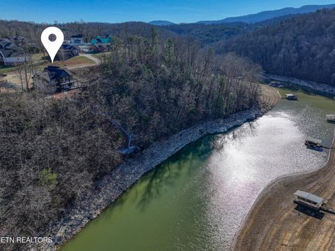 Tiny photo for 300 Bluff Trace Drive, Jacksboro, TN 37757 (MLS # 1326009)