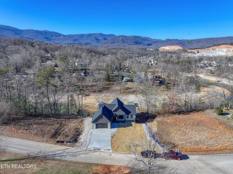 Tiny photo for 300 Bluff Trace Drive, Jacksboro, TN 37757 (MLS # 1326009)