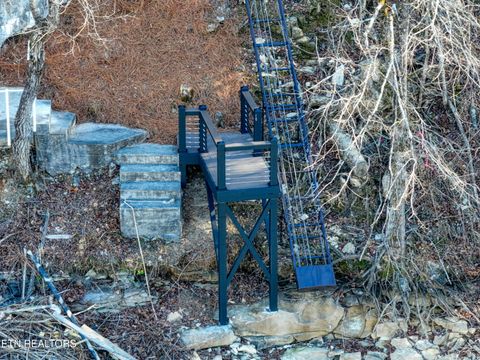 Tiny photo for 300 Bluff Trace Drive, Jacksboro, TN 37757 (MLS # 1326009)