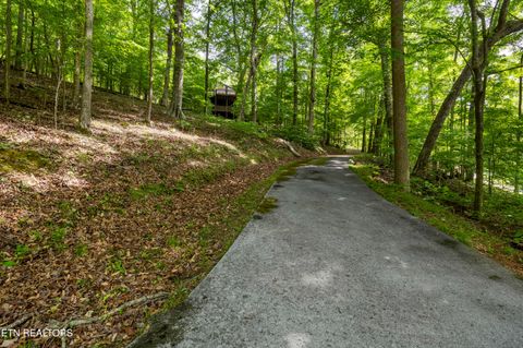 Photo of 2611 Shore Line Rd, Knoxville, TN 37932 (MLS # 1339261)