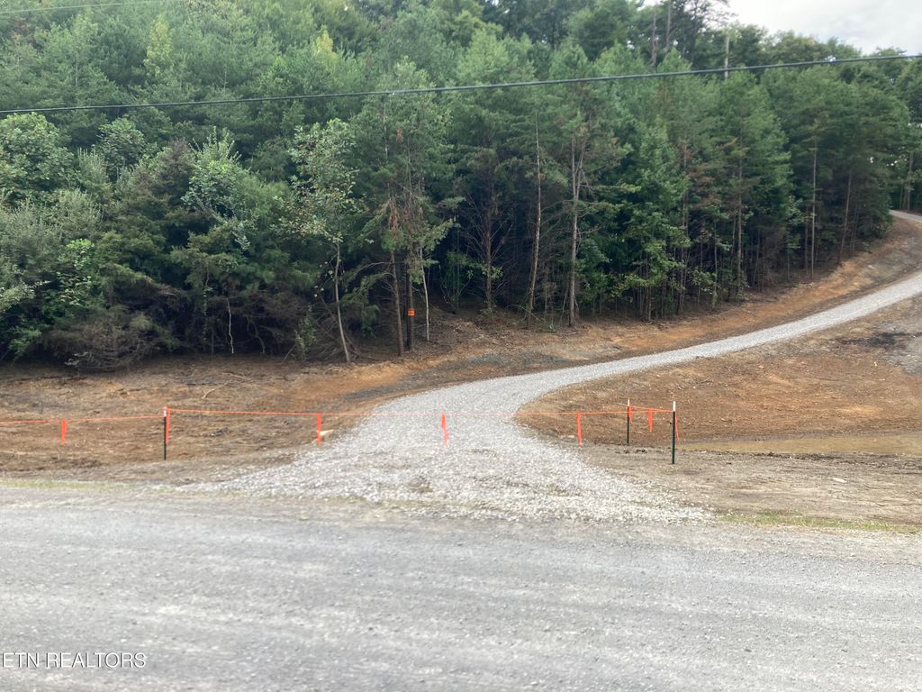 Photo of 2719 Westbourne Rd, Duff, TN 37729 (MLS # 1316419)
