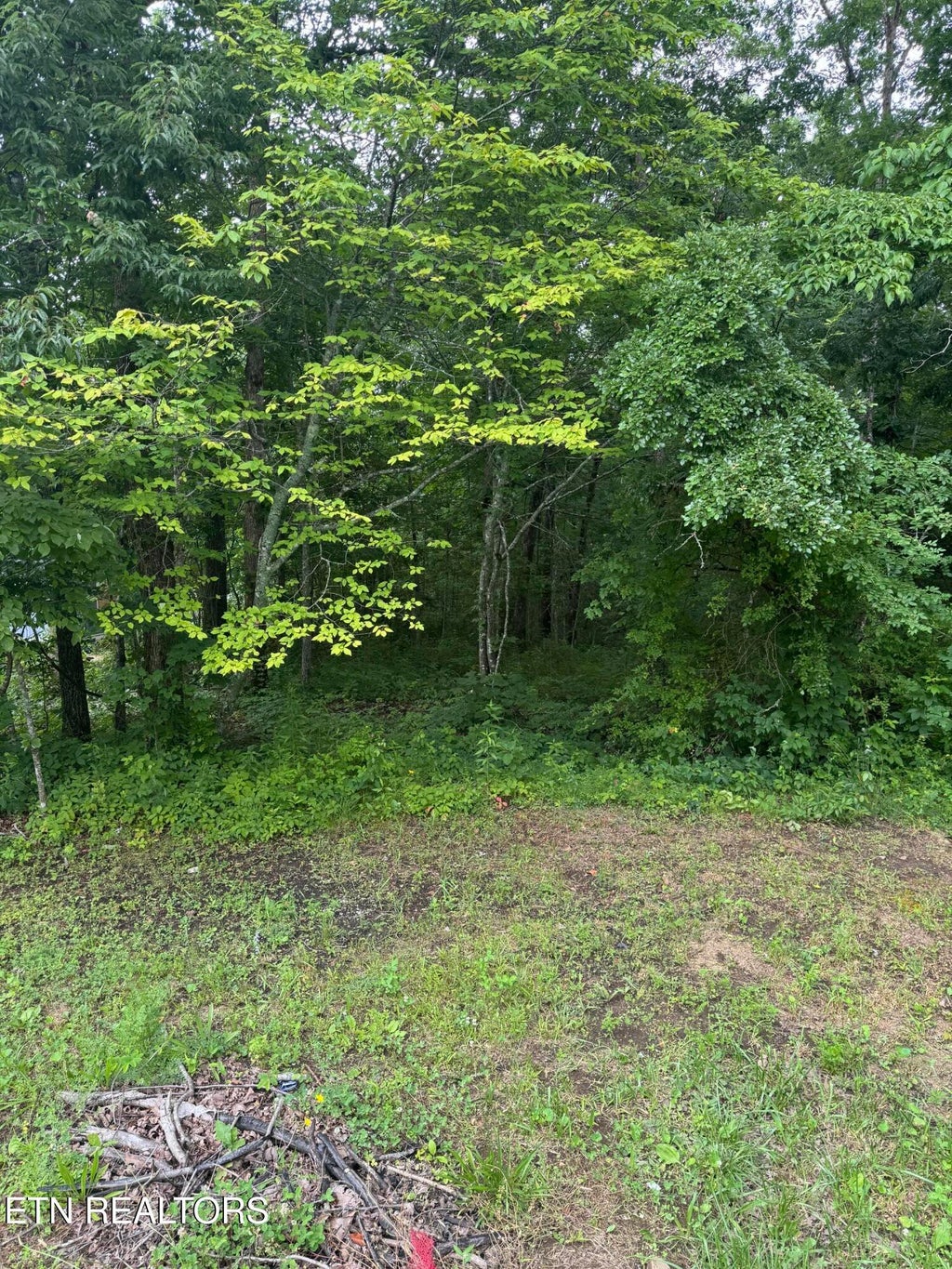 Photo of Timothy Drive, Crossville, TN 38572 (MLS # 1345679)