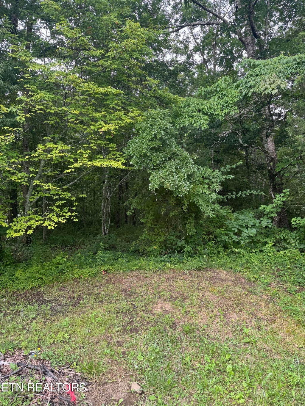 Photo of Timothy Drive, Crossville, TN 38572 (MLS # 1345679)