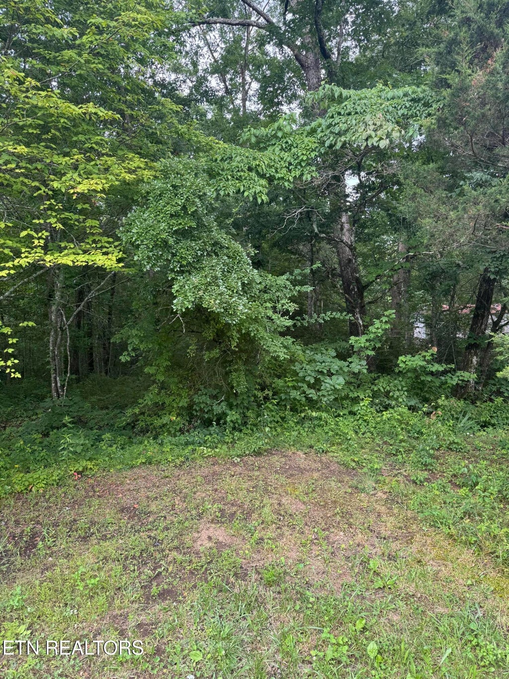 Photo of Timothy Drive, Crossville, TN 38572 (MLS # 1345679)