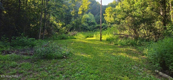 6504 HIGHWAY 66 N, ROGERSVILLE, TN 37857 - Image 694816cdb405d122f04c9bebc410cc1a/2219667944