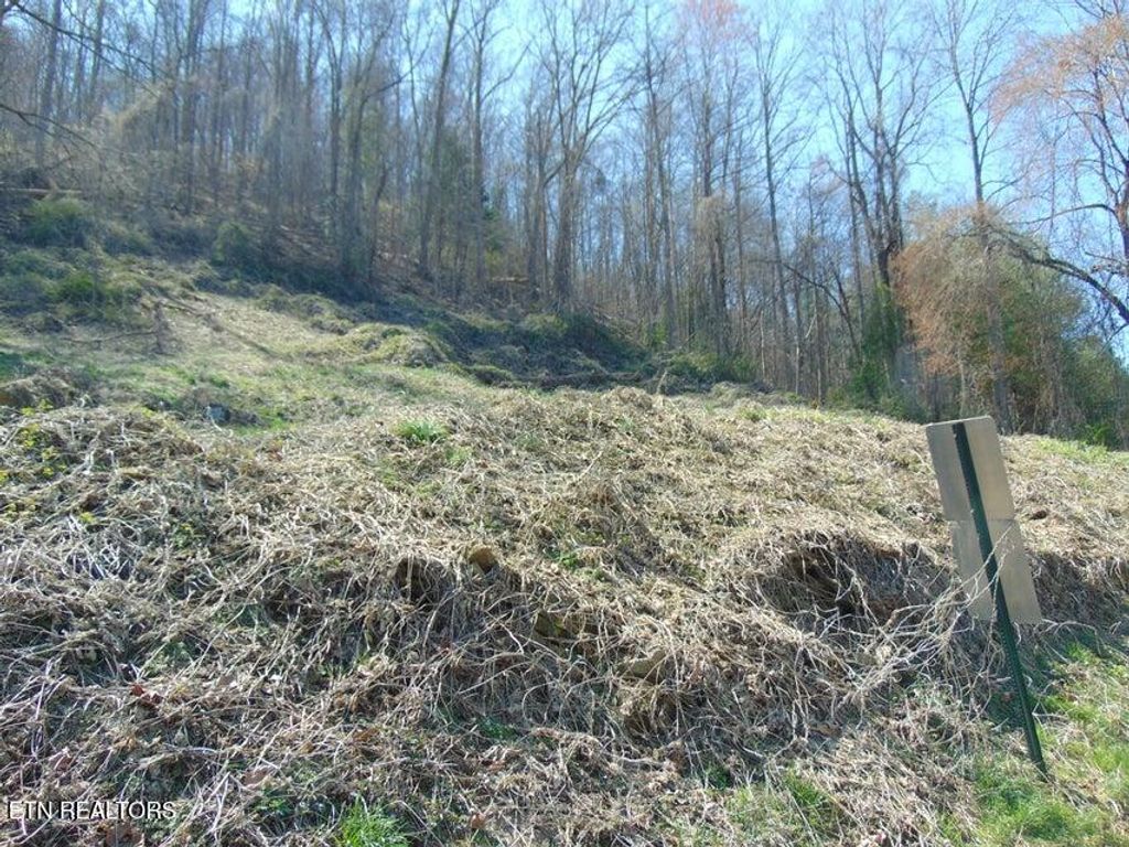Photo of 0 Walnut Lane #0, Pineville, KY 40977 (MLS # 1326178)