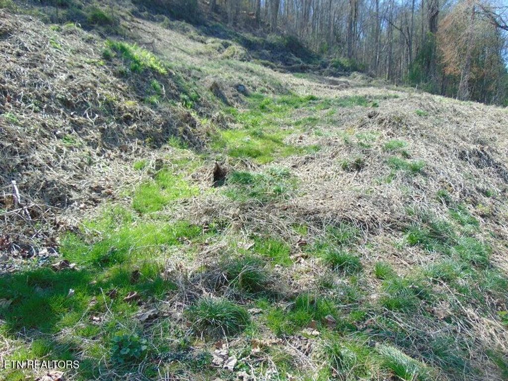 Photo of 0 Walnut Lane #0, Pineville, KY 40977 (MLS # 1326178)