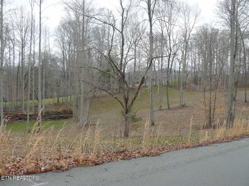 Photo of Parsons Lane, Tazewell, TN 37879 (MLS # 1304466)