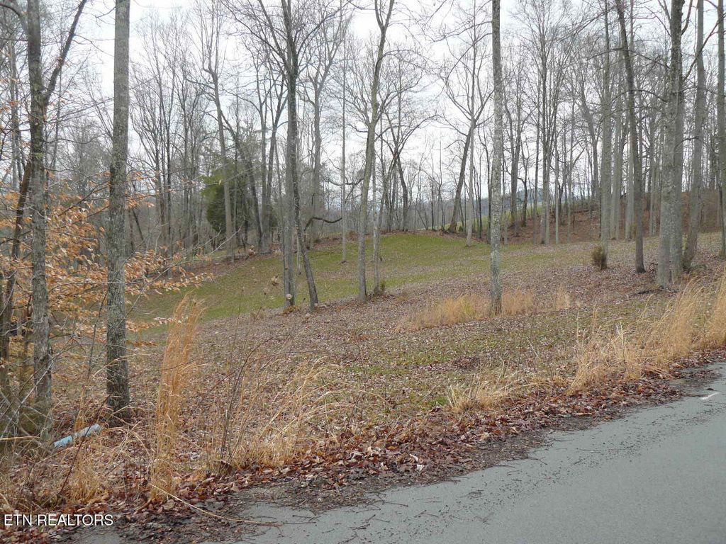 Photo of Parsons Lane, Tazewell, TN 37879 (MLS # 1304466)
