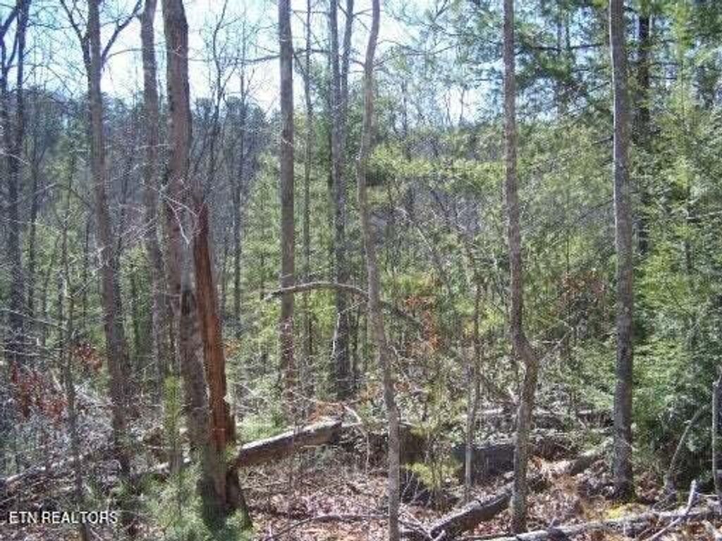 Photo of Christa Tr, Walland, TN 37886 (MLS # 1255806)