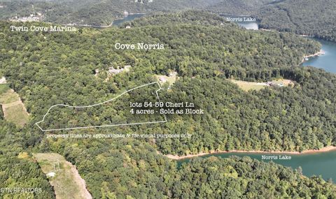Lot 54 Cheri Lane Caryville TN 37714