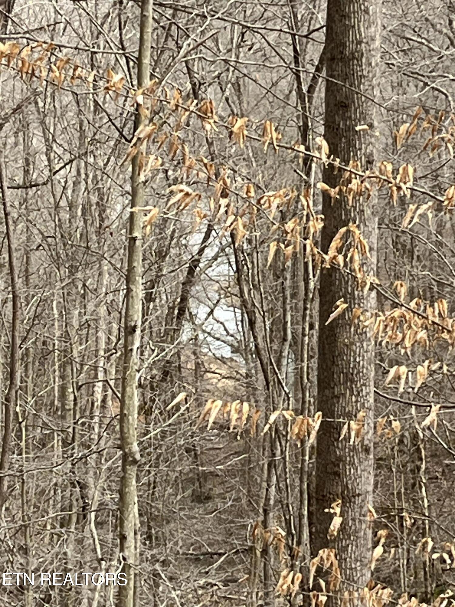 Lot 54 Cheri Lane