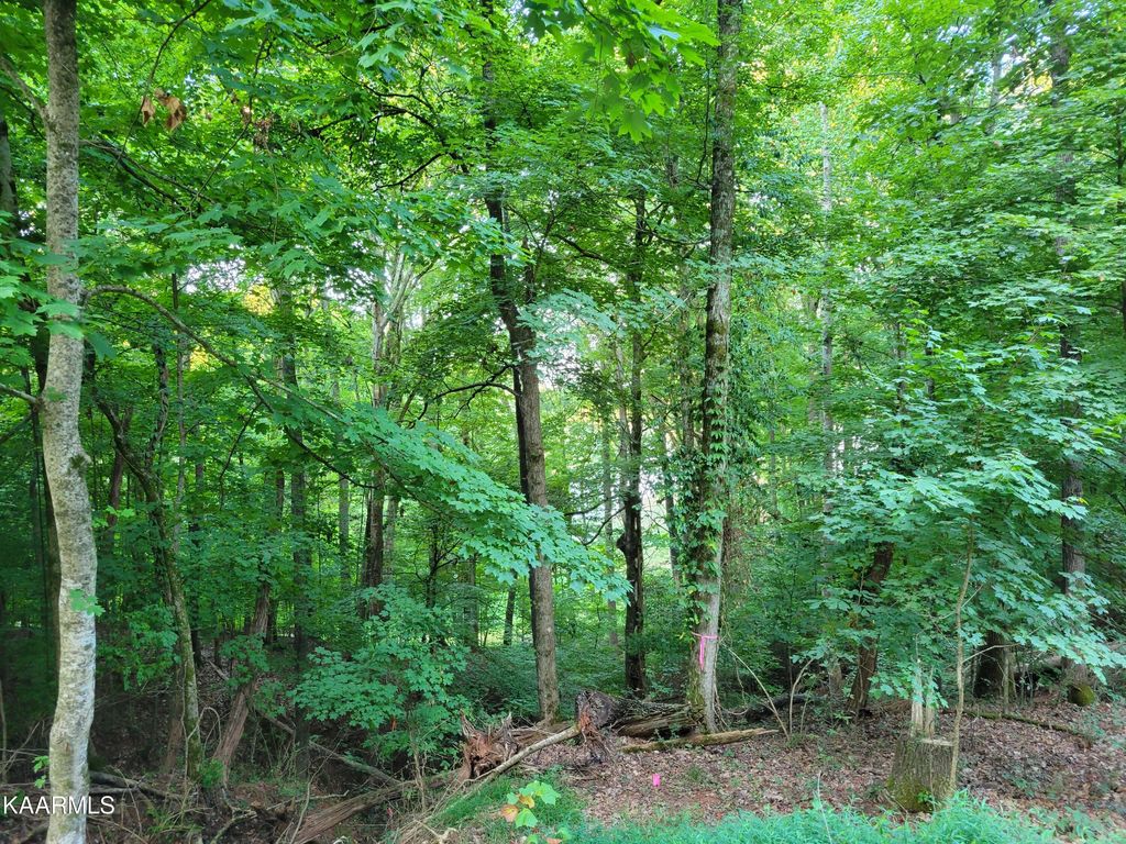 Photo of Delta Queen Rd, Louisville, TN 37777 (MLS # 1207570)