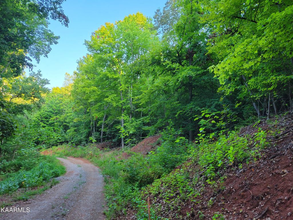 Photo of Delta Queen Rd, Louisville, TN 37777 (MLS # 1207570)