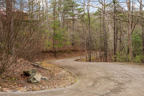 Tiny photo for 115 Martin Rd, Tellico Plains, TN 37385 (MLS # 1333211)