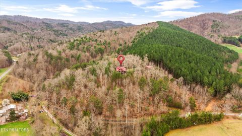 Tiny photo for 115 Martin Rd, Tellico Plains, TN 37385 (MLS # 1333211)