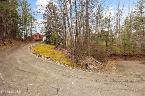 Tiny photo for 115 Martin Rd, Tellico Plains, TN 37385 (MLS # 1333211)
