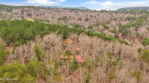 Tiny photo for 115 Martin Rd, Tellico Plains, TN 37385 (MLS # 1333211)