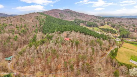 Tiny photo for 115 Martin Rd, Tellico Plains, TN 37385 (MLS # 1333211)