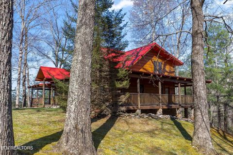 Tiny photo for 115 Martin Rd, Tellico Plains, TN 37385 (MLS # 1333211)