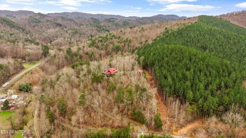 Tiny photo for 115 Martin Rd, Tellico Plains, TN 37385 (MLS # 1333211)