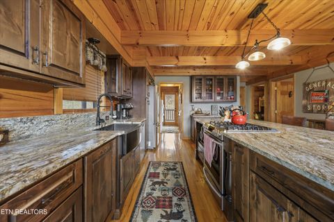 Tiny photo for 115 Martin Rd, Tellico Plains, TN 37385 (MLS # 1333211)