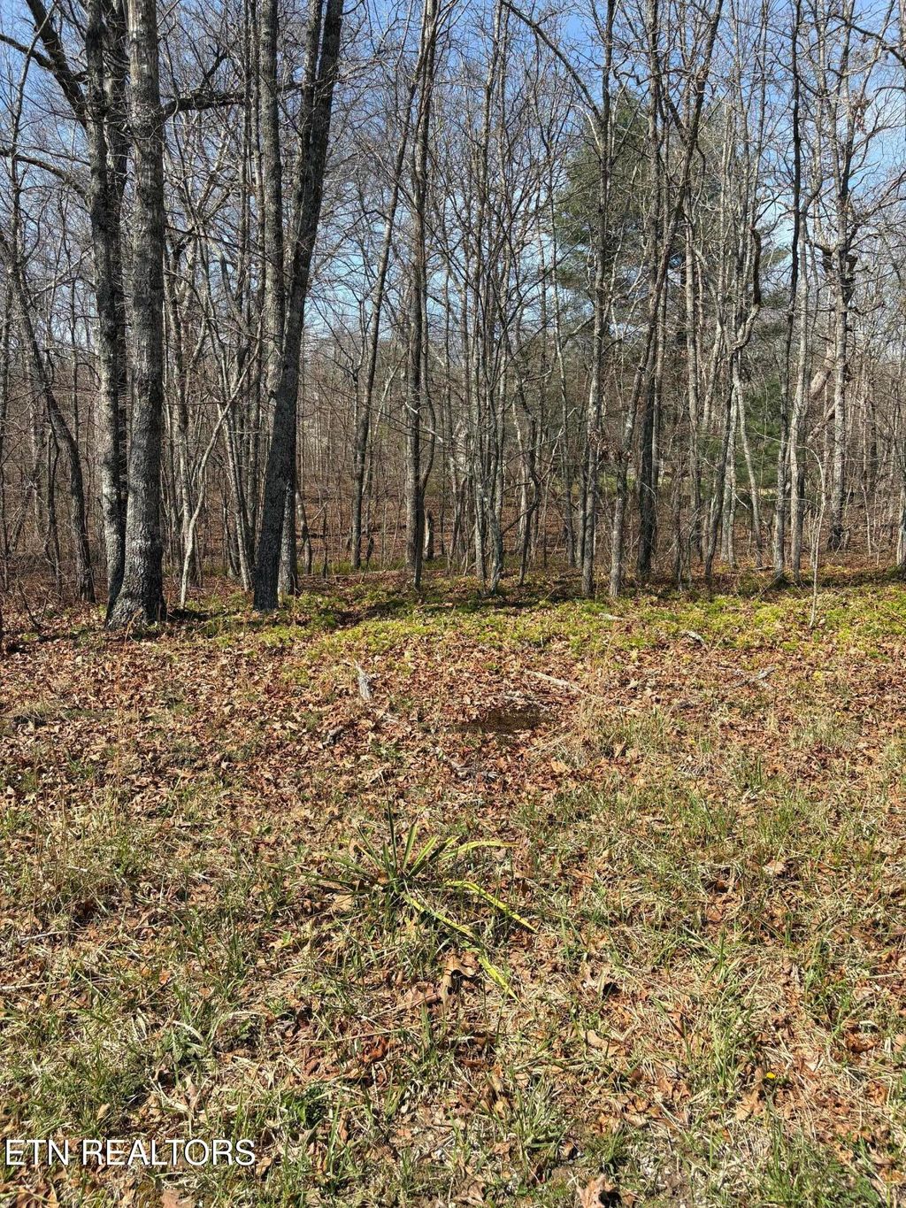 Photo of 5011 Impa Drive, Crossville, TN 38572 (MLS # 1335156)