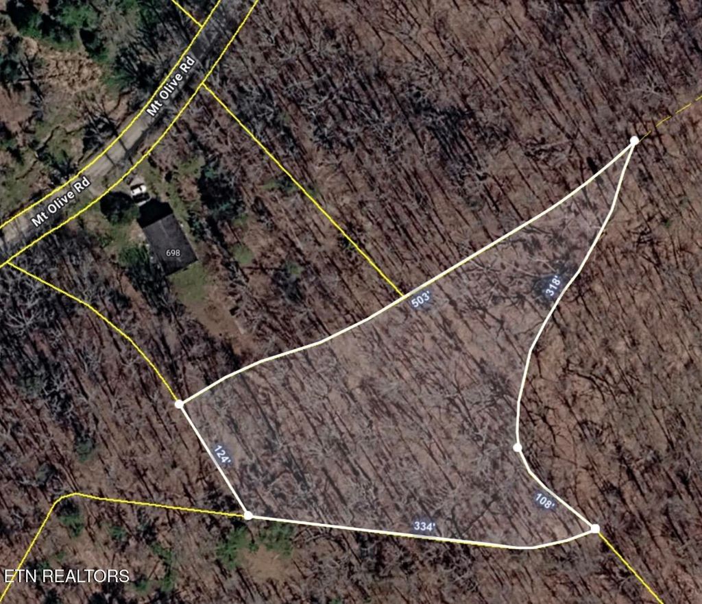 Photo of 698 Mount Olive Rd, Andersonville, TN 37705 (MLS # 1329736)