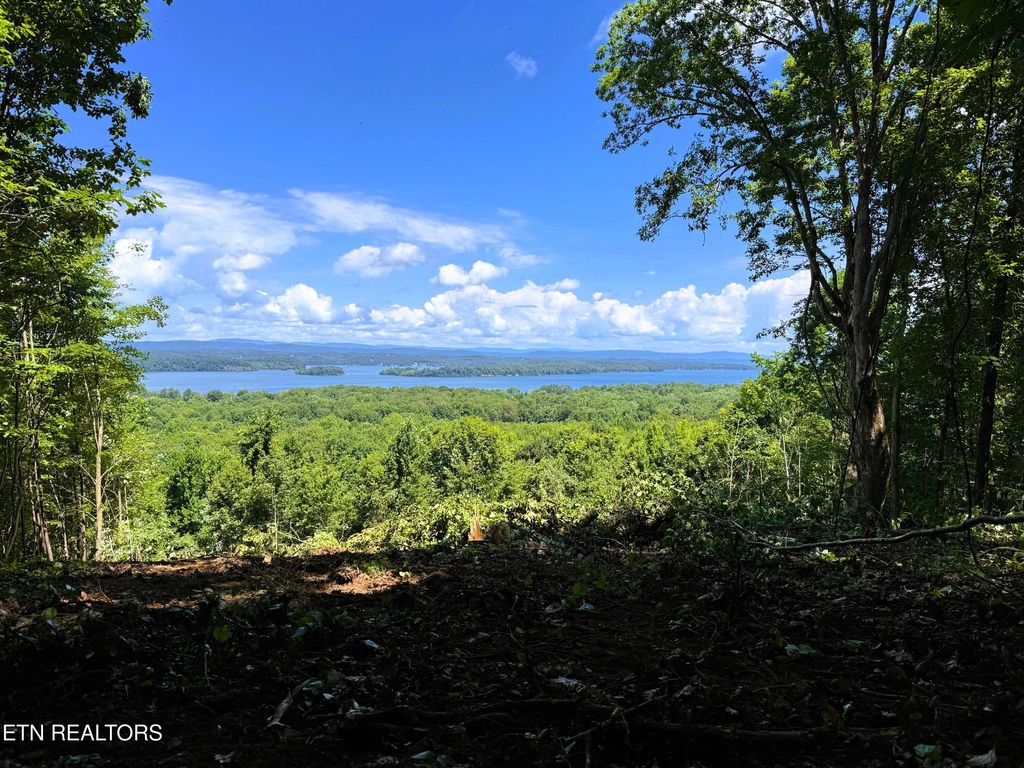 Photo of 7 Pleasant Hill Road, Ten Mile, TN 37880 (MLS # 1310733)