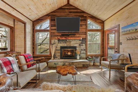 Tiny photo for 2529 Mountain Holly Way, Sevierville, TN 37862 (MLS # 1326130)