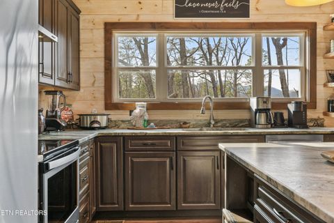 Tiny photo for 2529 Mountain Holly Way, Sevierville, TN 37862 (MLS # 1326130)