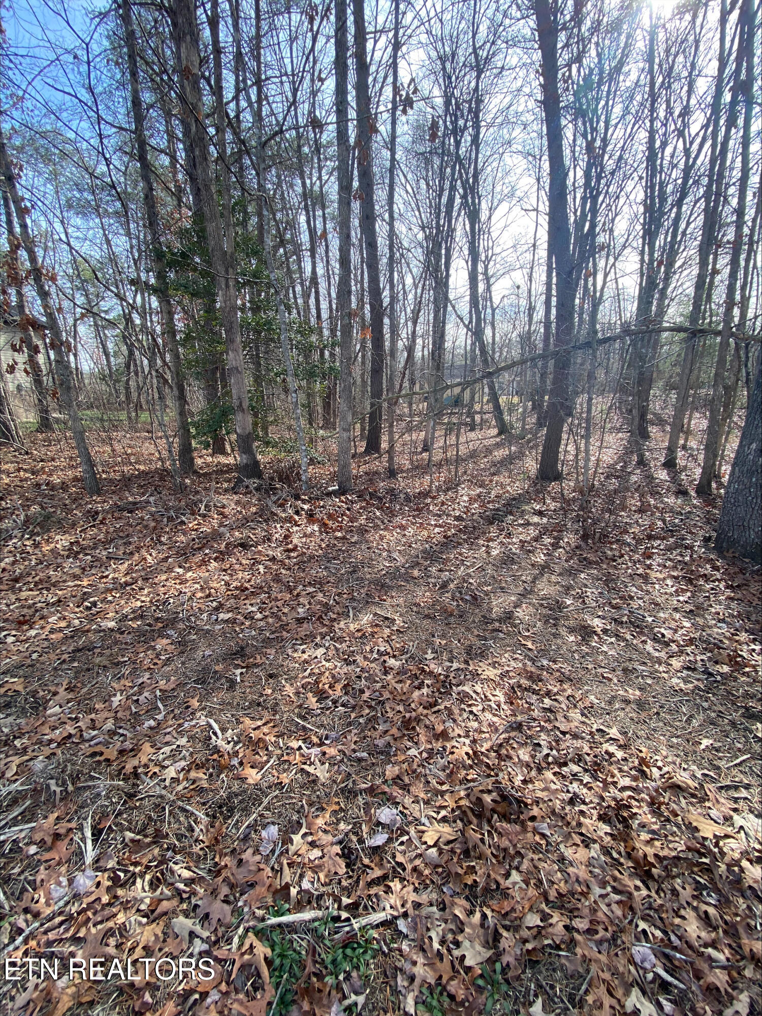 231 Thrushwood Drive