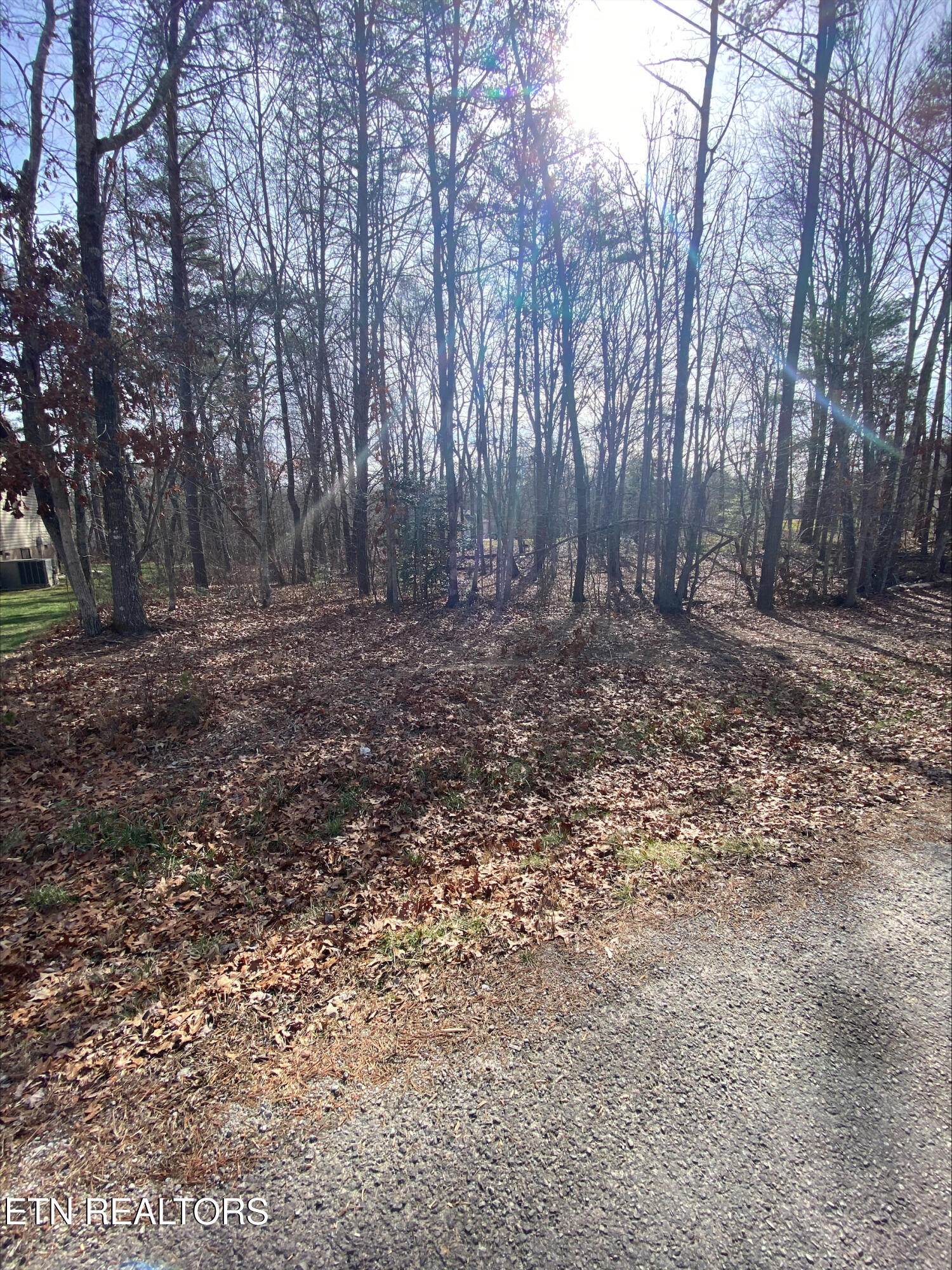 231 Thrushwood Drive