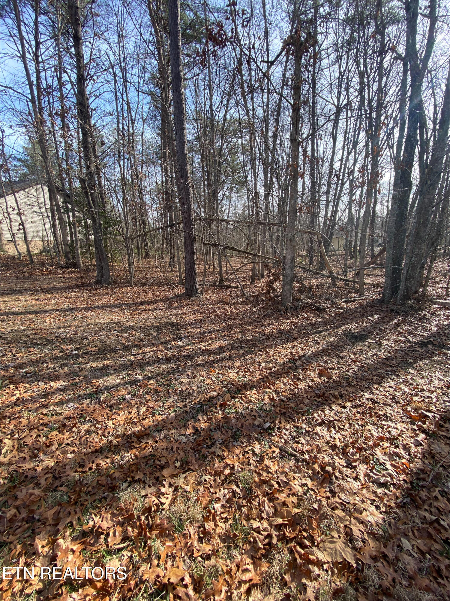 231 Thrushwood Drive
