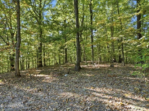 Tiny photo for 8928 Ellis Lane, Powell, TN 37849 (MLS # 1359618)