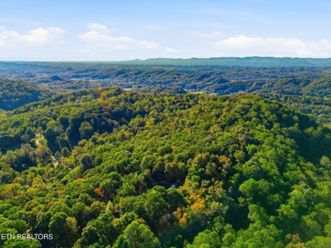 Tiny photo for 8928 Ellis Lane, Powell, TN 37849 (MLS # 1359618)