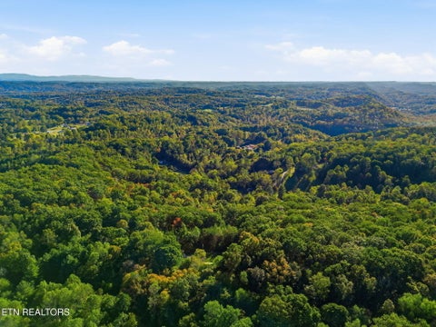 Tiny photo for 8928 Ellis Lane, Powell, TN 37849 (MLS # 1359618)