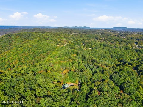 Tiny photo for 8928 Ellis Lane, Powell, TN 37849 (MLS # 1359618)