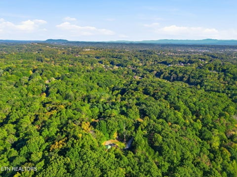 Tiny photo for 8928 Ellis Lane, Powell, TN 37849 (MLS # 1359618)