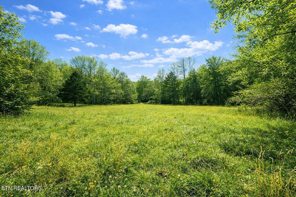 Photo of 864 E Bullrun Valley Drive, Heiskell, TN 37754 (MLS # 1327889)