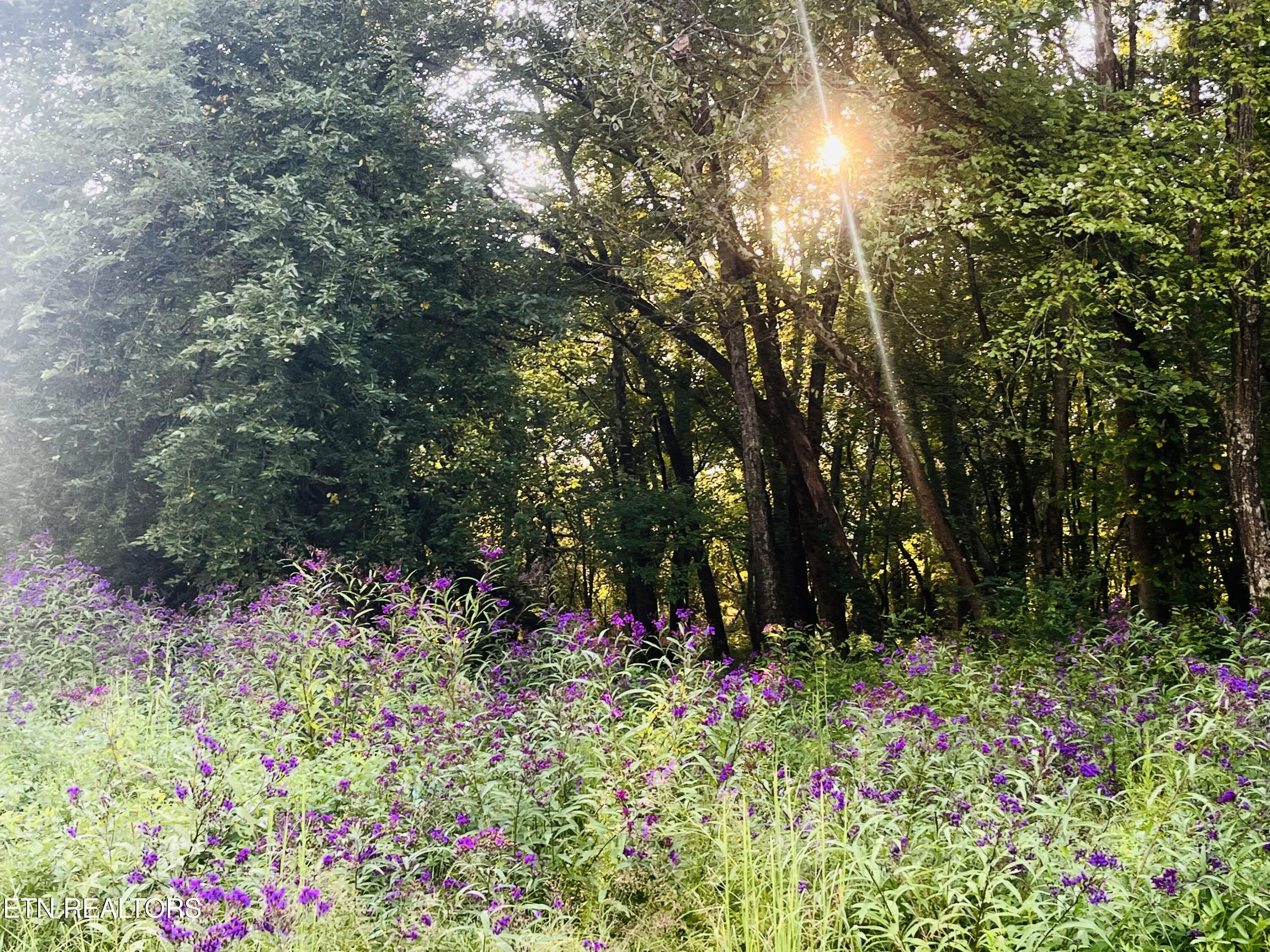 864 E Bullrun Valley Drive